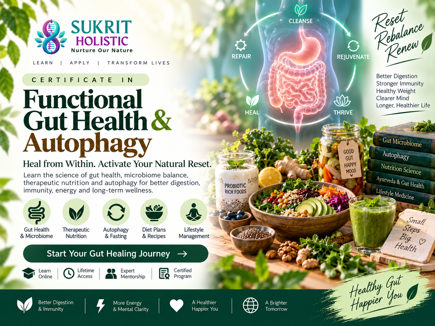 Functional Gut Health & Autophagy